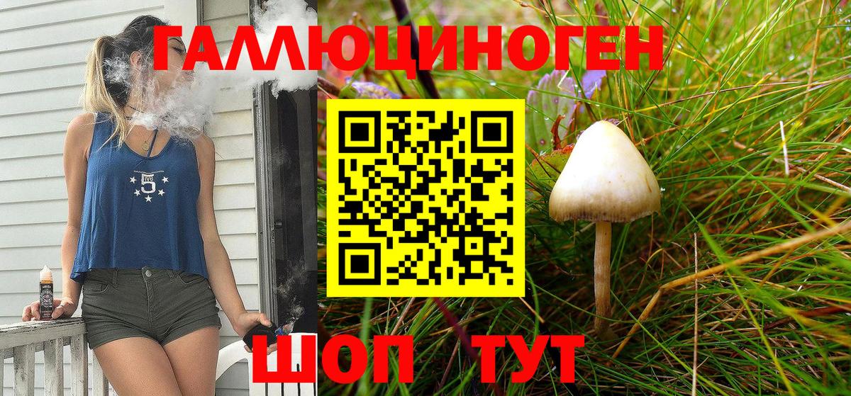 Галлюциногенные грибы Cubensis Соликамск