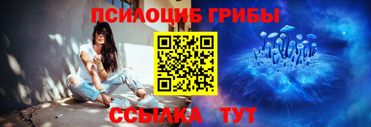 Соликамск  купить наркотик  Вход с VPN  Галлюциногенные грибы Psilocybe 